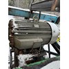 Rawlings 36x36 Hog Hogs and Wood Grinders